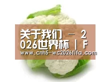 产品名称九