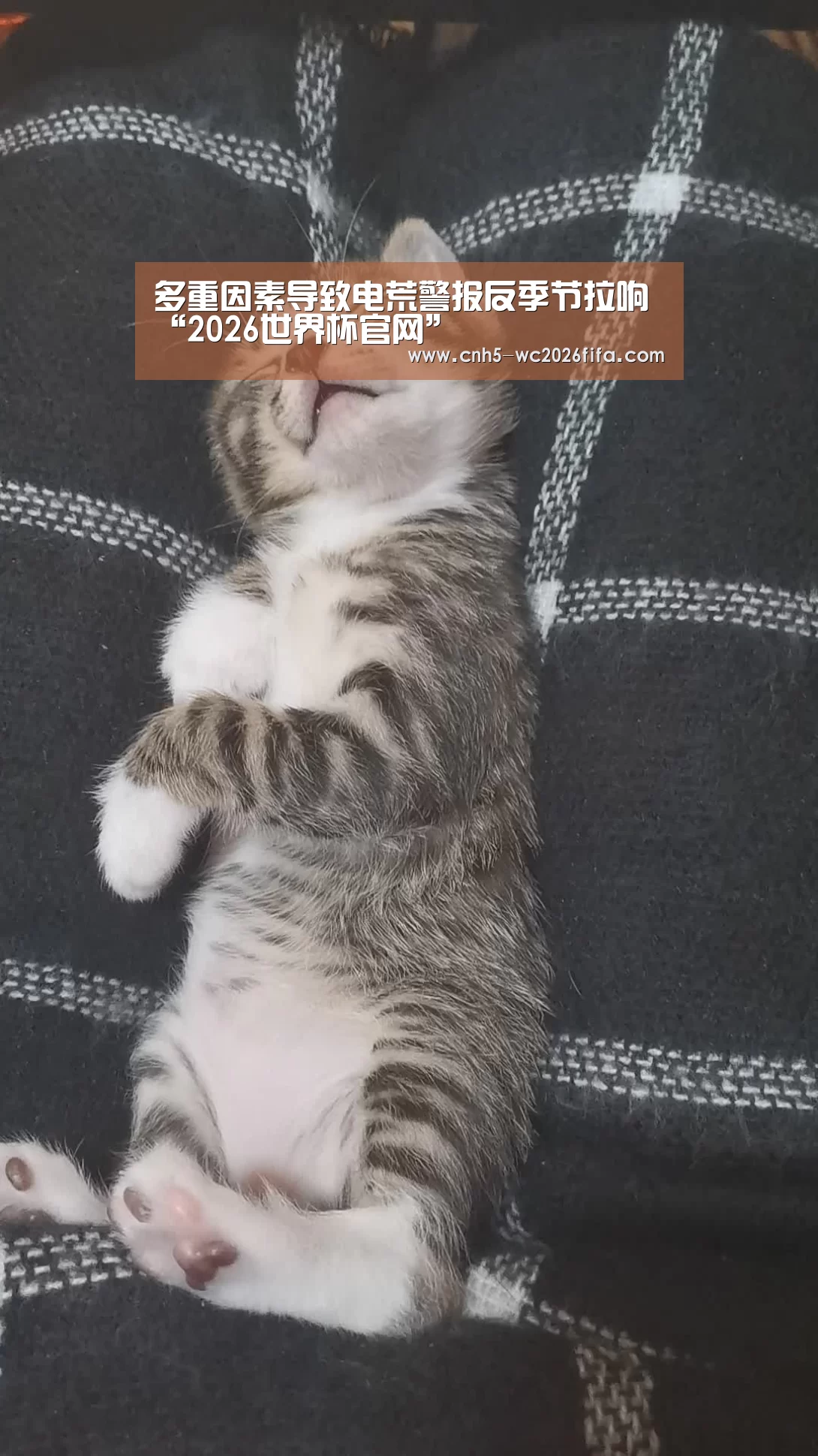 2026世界杯官网